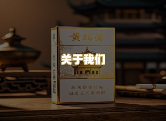 关于我们